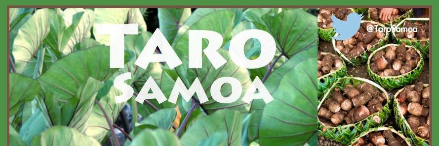 TaroSamoa's profile banner image