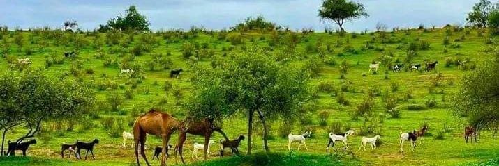 DrSamiullah0786's profile banner image