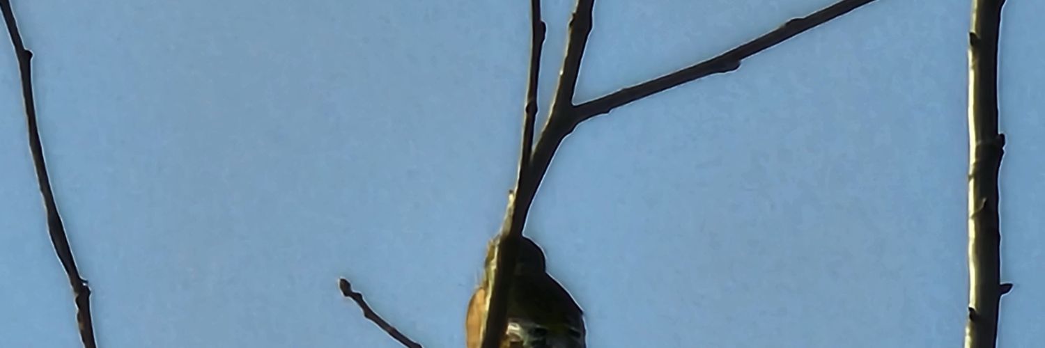 Djntower's profile banner image