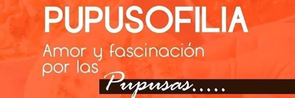 Pupuseragt's profile banner image