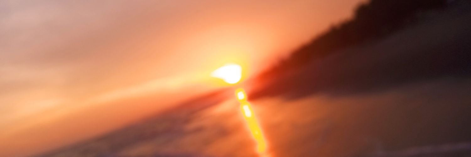 silviacelis71's profile banner image