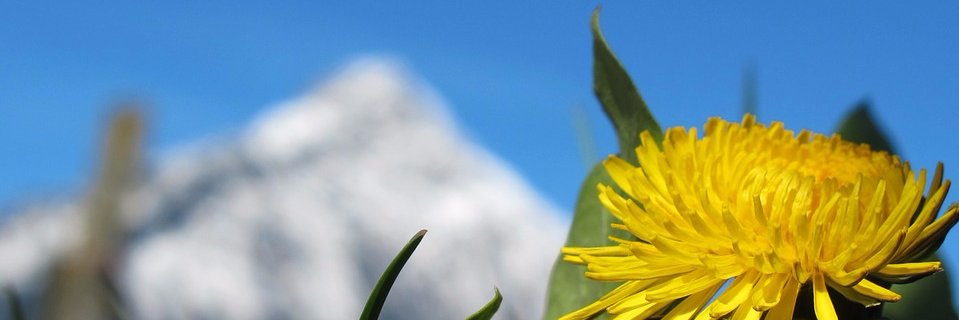 LarimerSBDC's profile banner image