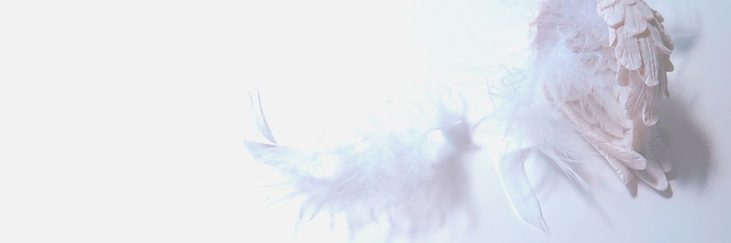 _irohi's profile banner image