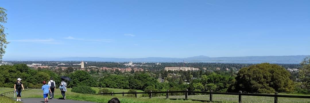 Martin Viecha banner