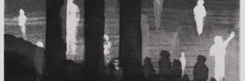 sarahbecherer's profile banner image