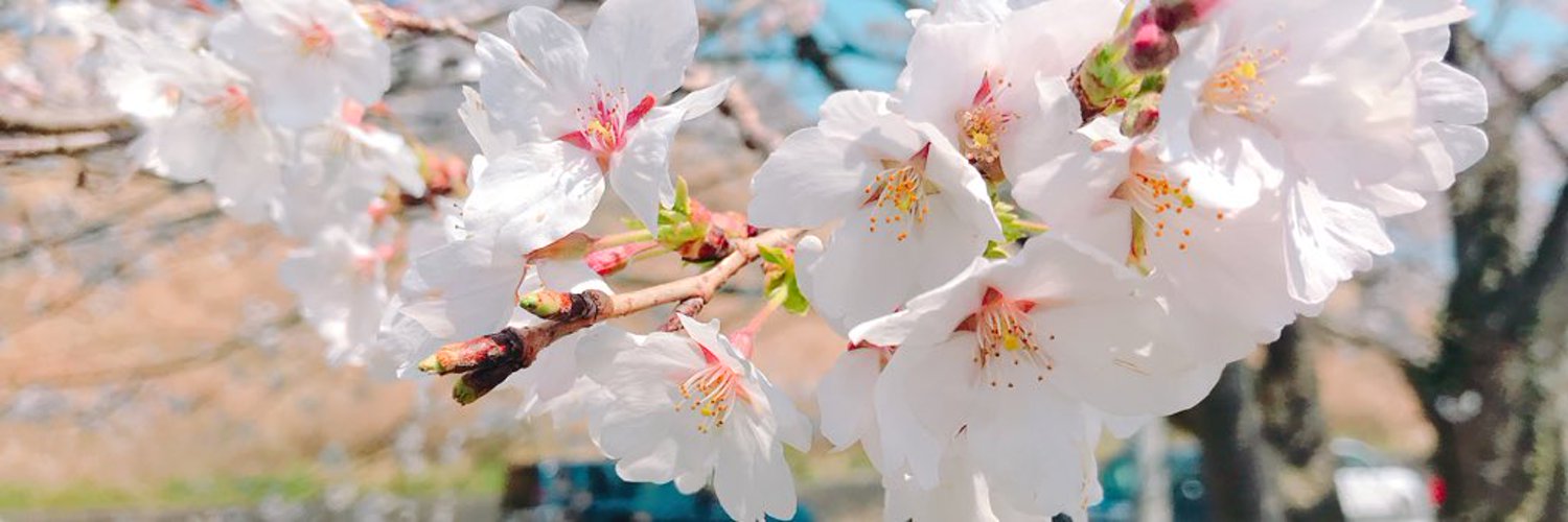 Happy8318Mi's profile banner image