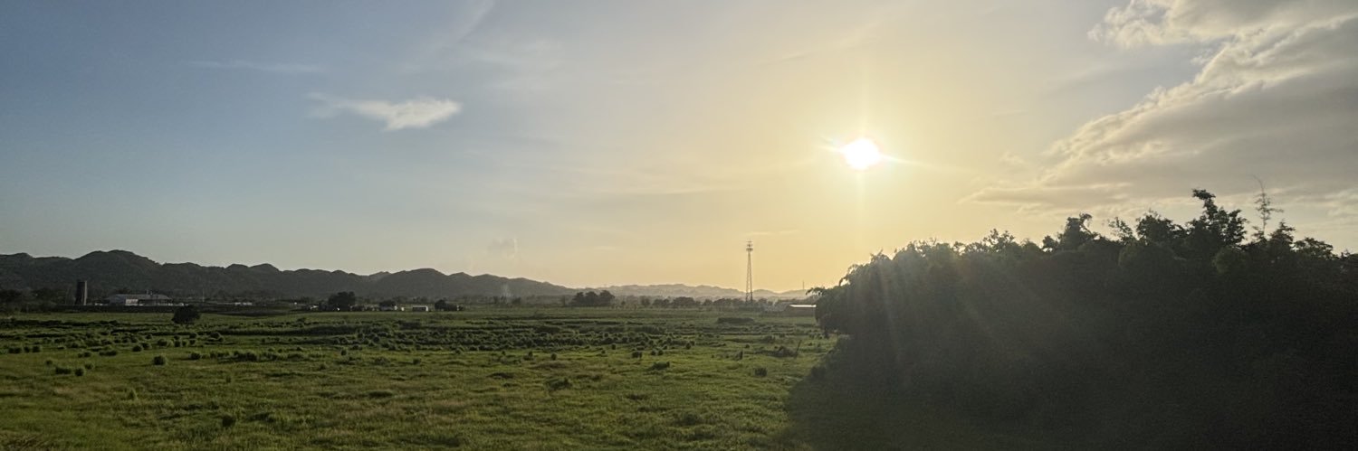 ForasteroVerde's profile banner image