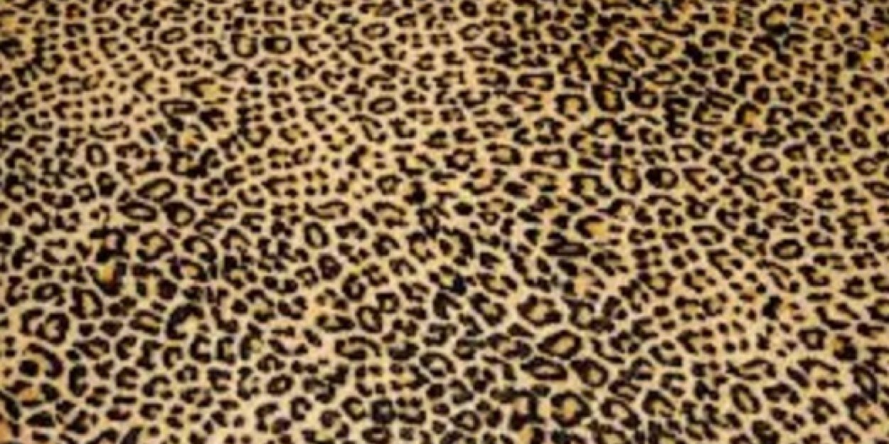 BStreet22's profile banner image