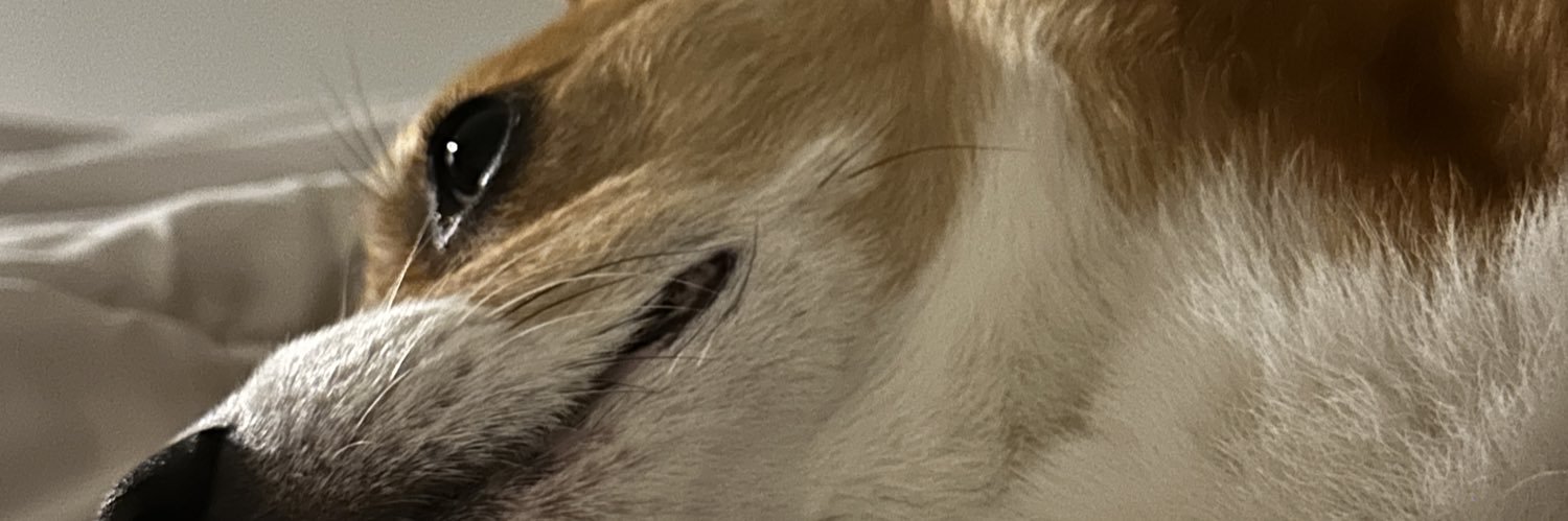 senseitionally's profile banner image