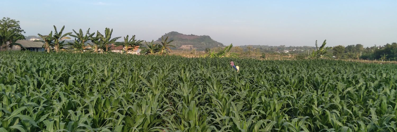 hilang_frd's profile banner image