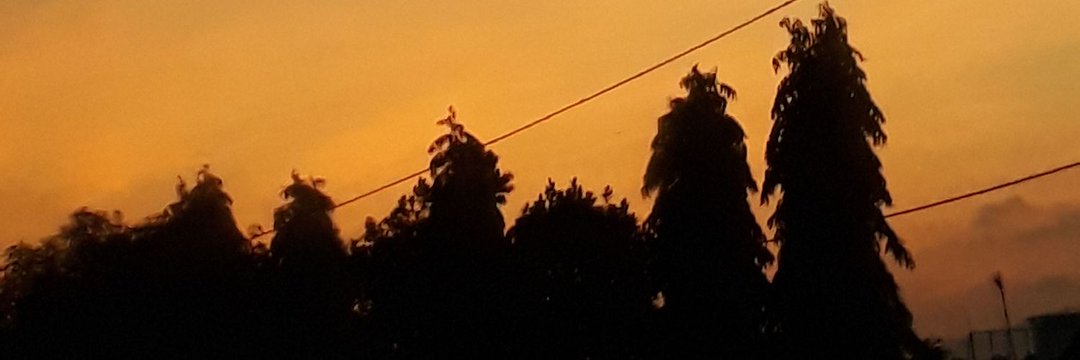 FitaNF_'s profile banner image