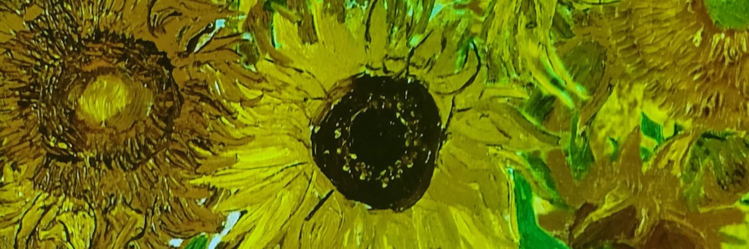 juncooler71's profile banner image