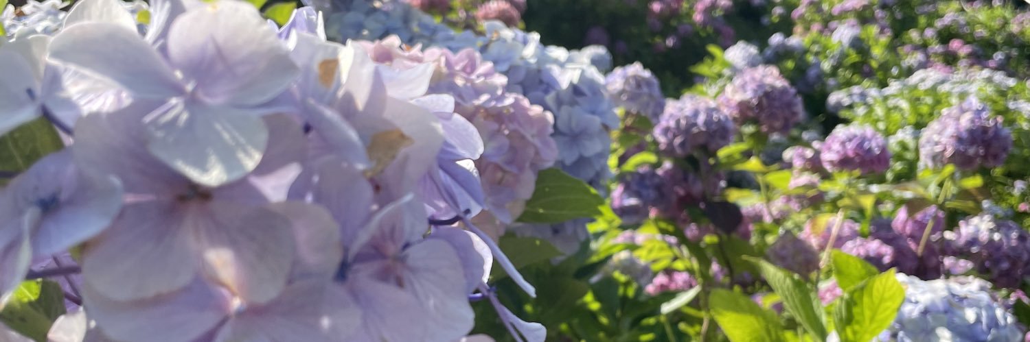 Satou_pan531's profile banner image