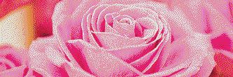 25Ashwaj's profile banner image