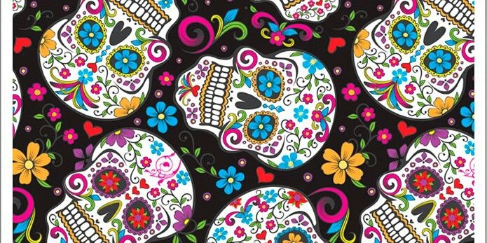 Le_bicho__'s profile banner image