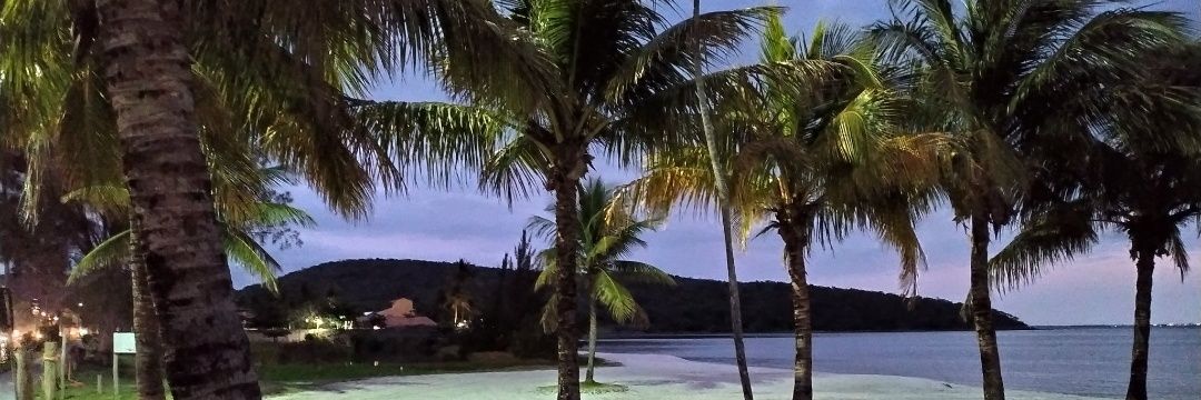 _paulacarvalhoo's profile banner image