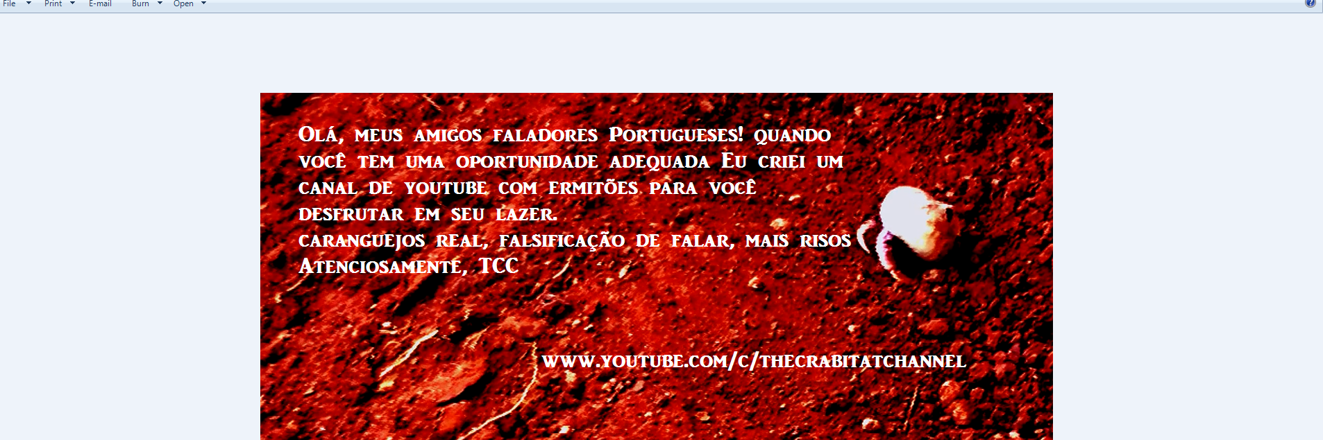 ocrabitat's profile banner image