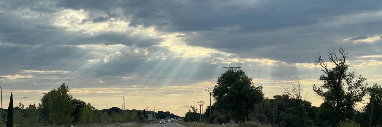 Plantisferico's profile banner image