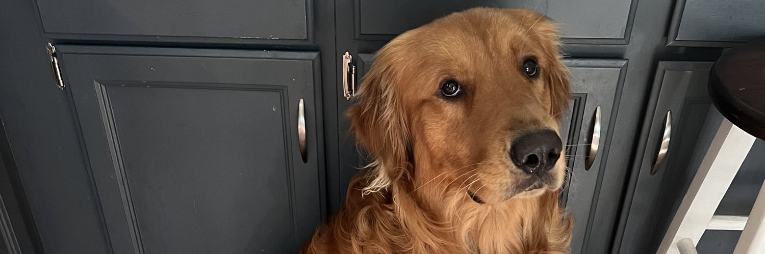 Nathan Pickering (Bocephus) banner