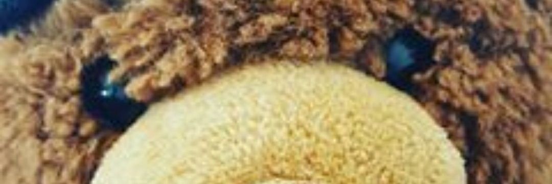 JonathanTussing's profile banner image