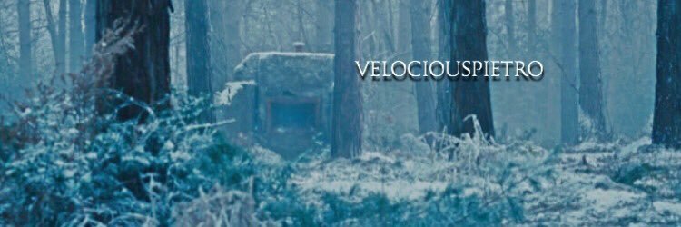 VelociousPietro's profile banner image