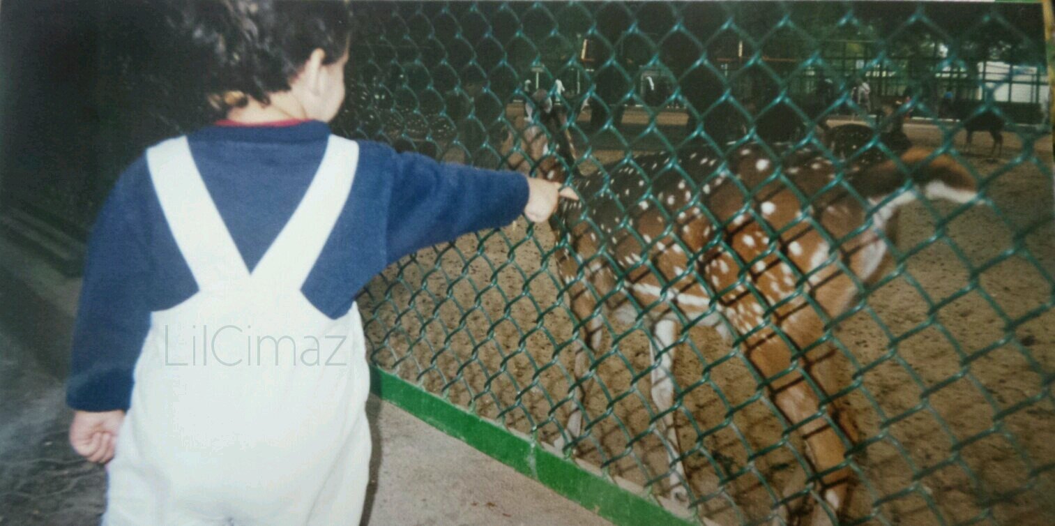 LilCimaz's profile banner image