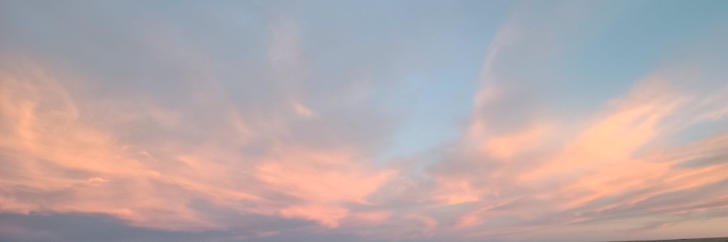 chaniolson's profile banner image