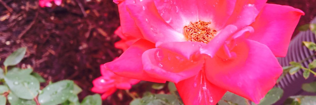 BaileyKennedy1's profile banner image