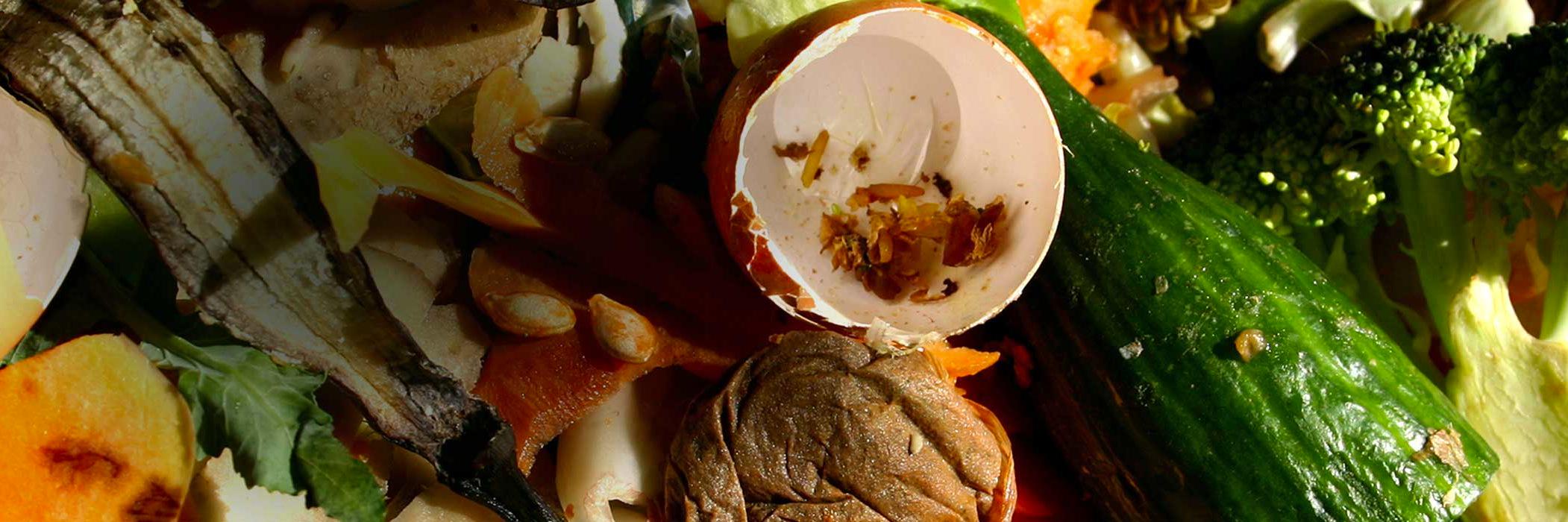 ecowasterecycle's profile banner image