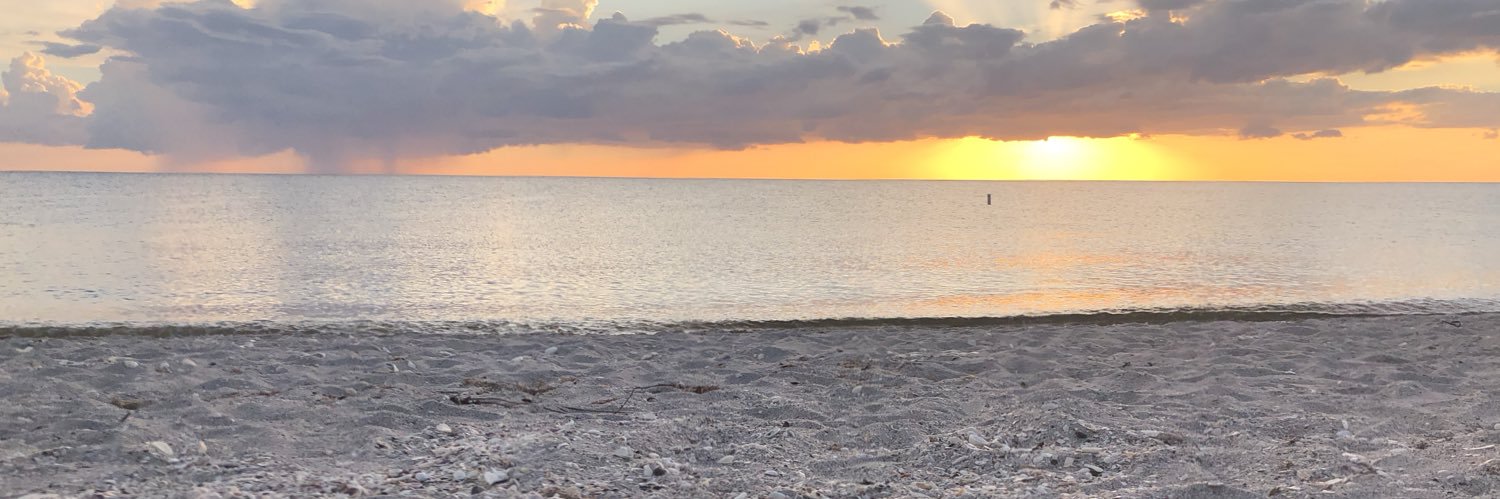 RiceKileigh's profile banner image