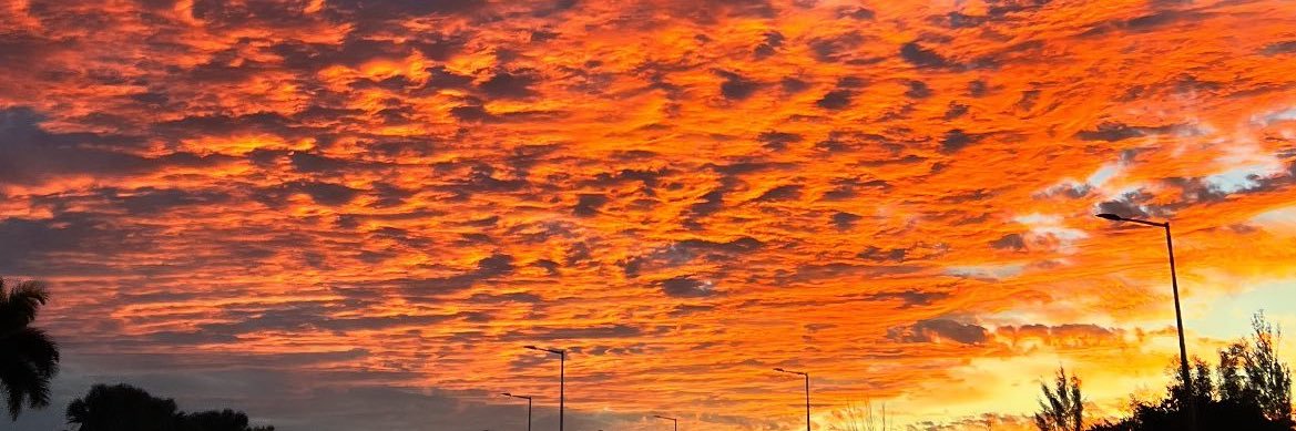 Lion Hearted 🙇🏽‼️ banner