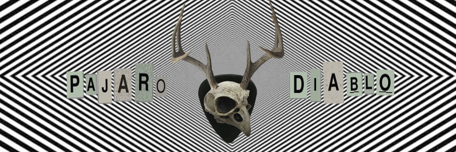 _PajaroDiablo_'s profile banner image
