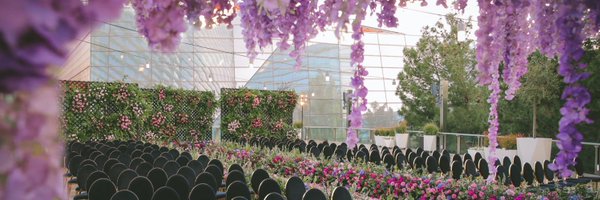 AndreaEppolito Profile Banner