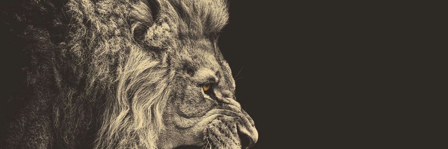 Otis8495's profile banner image