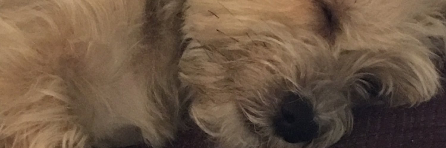MyndiAdams's profile banner image