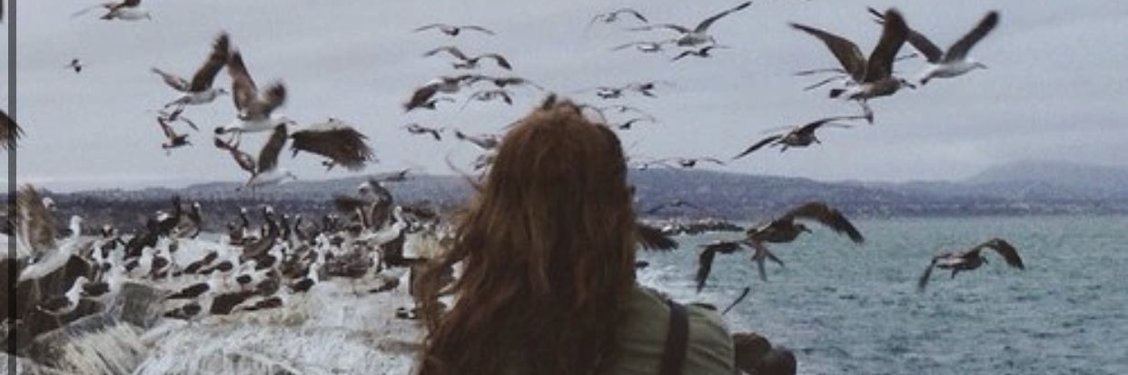 hananateeah1's profile banner image