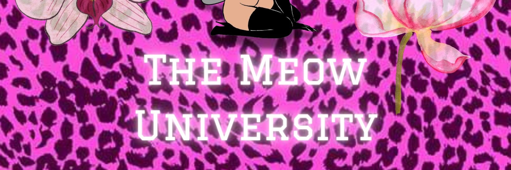 Meow University banner
