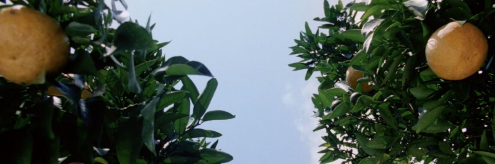 marko_lmt's profile banner image