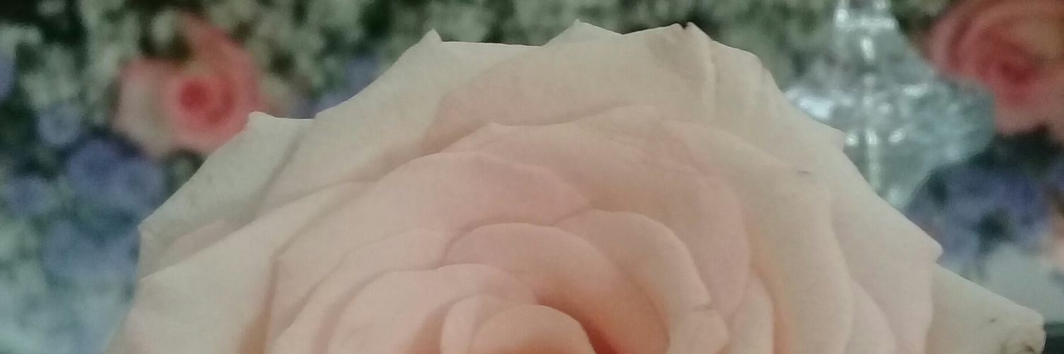 AnalaCardoso's profile banner image