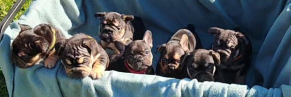 _PapiSmokee Profile Banner