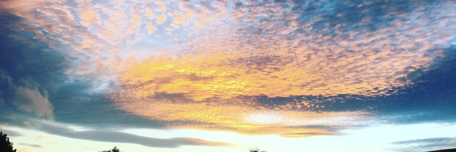_evanskio_'s profile banner image