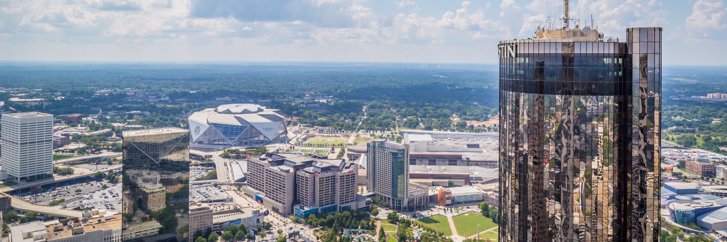 French-American Chamber of Commerce - Atlanta banner
