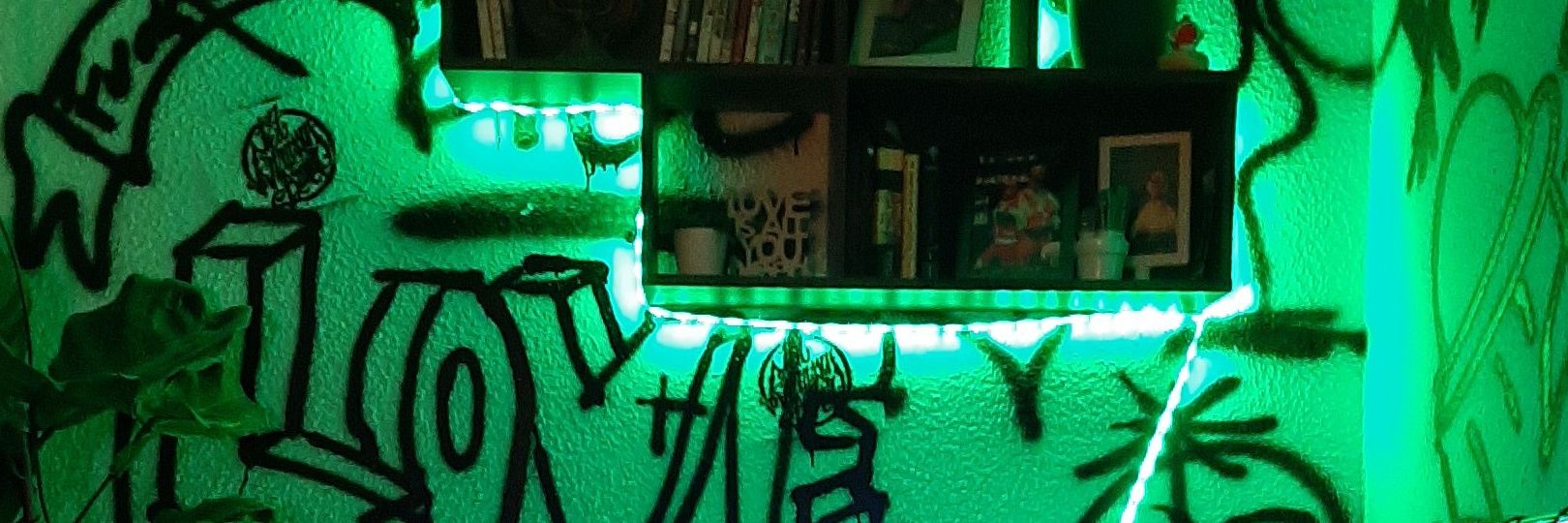 sociialkid's profile banner image