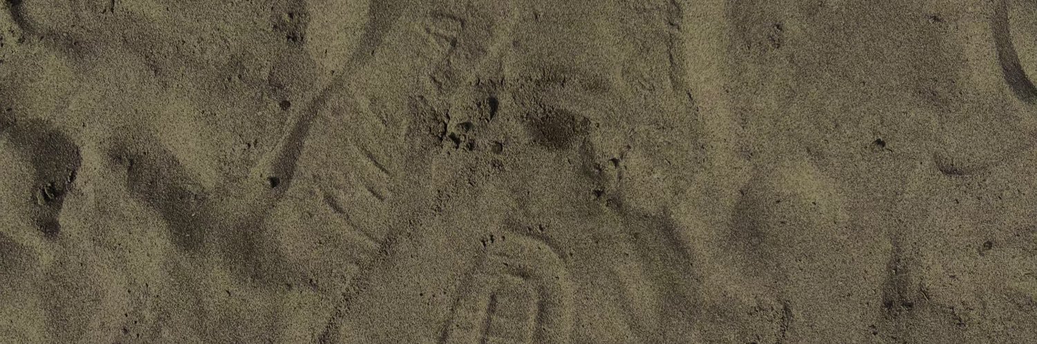 luisdanm's profile banner image