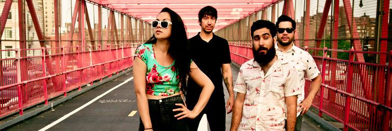 Red Light Cameras banner