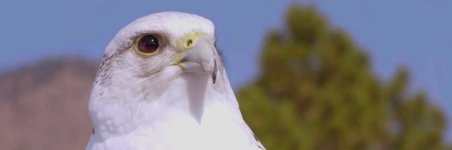 ALQRNAS_M's profile banner image