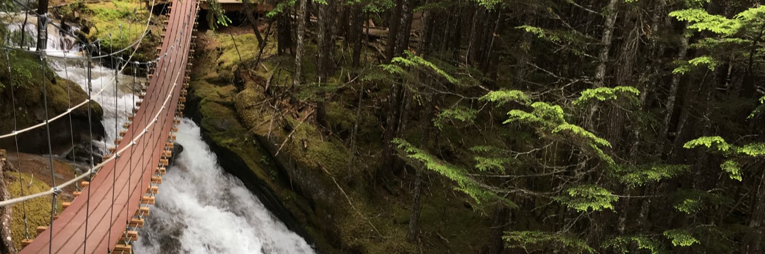 Maddie_Boj's profile banner image