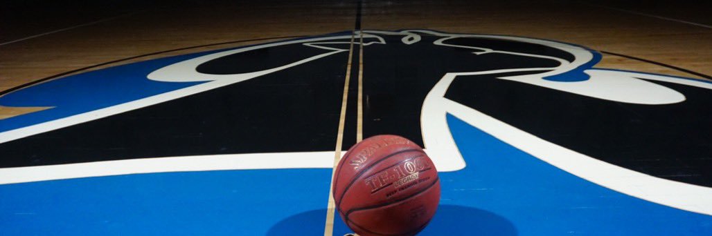 Lamar CC Basketball banner