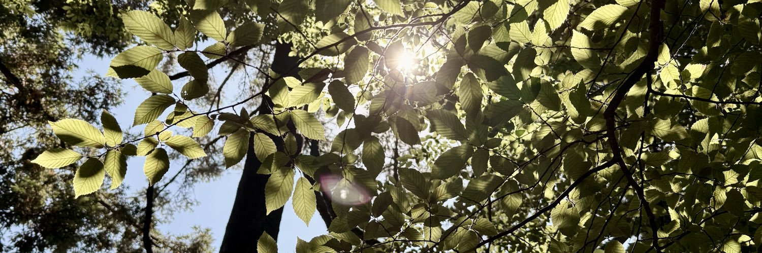 RachelDahlen1's profile banner image
