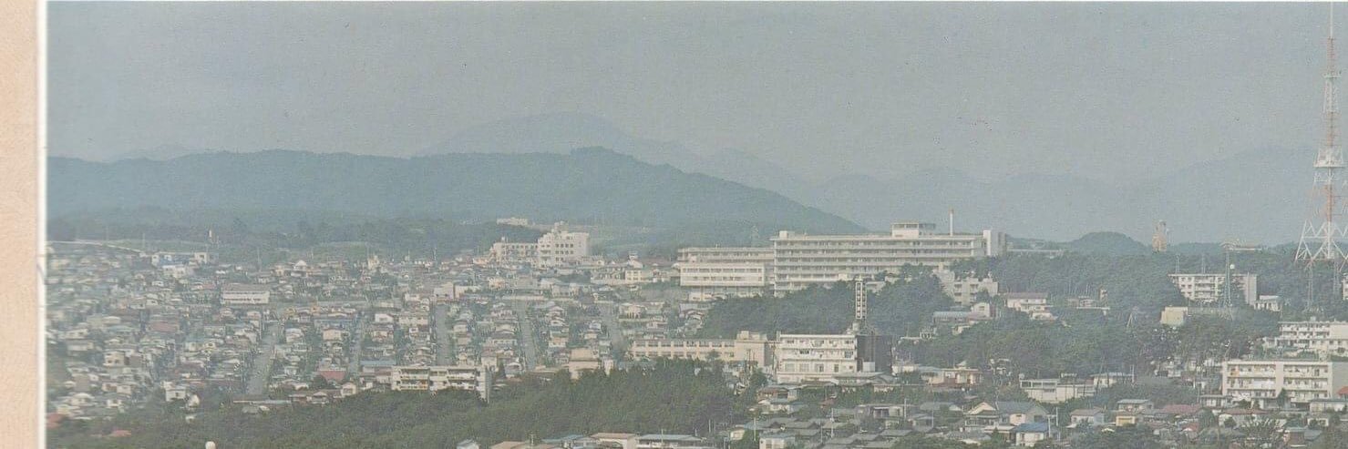 わたまや　のぼる banner